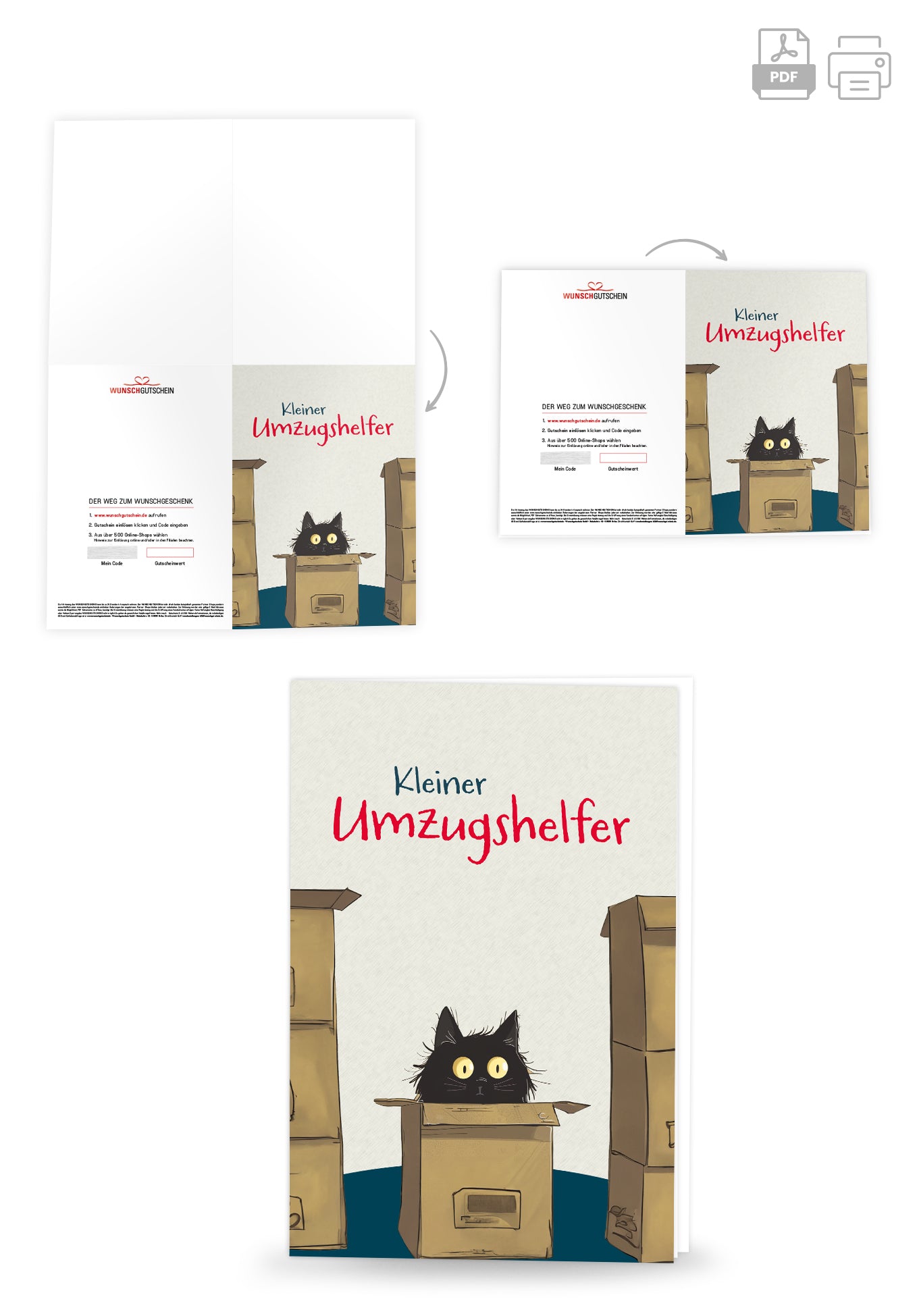 Kleiner Umzugshelfer - Katze
