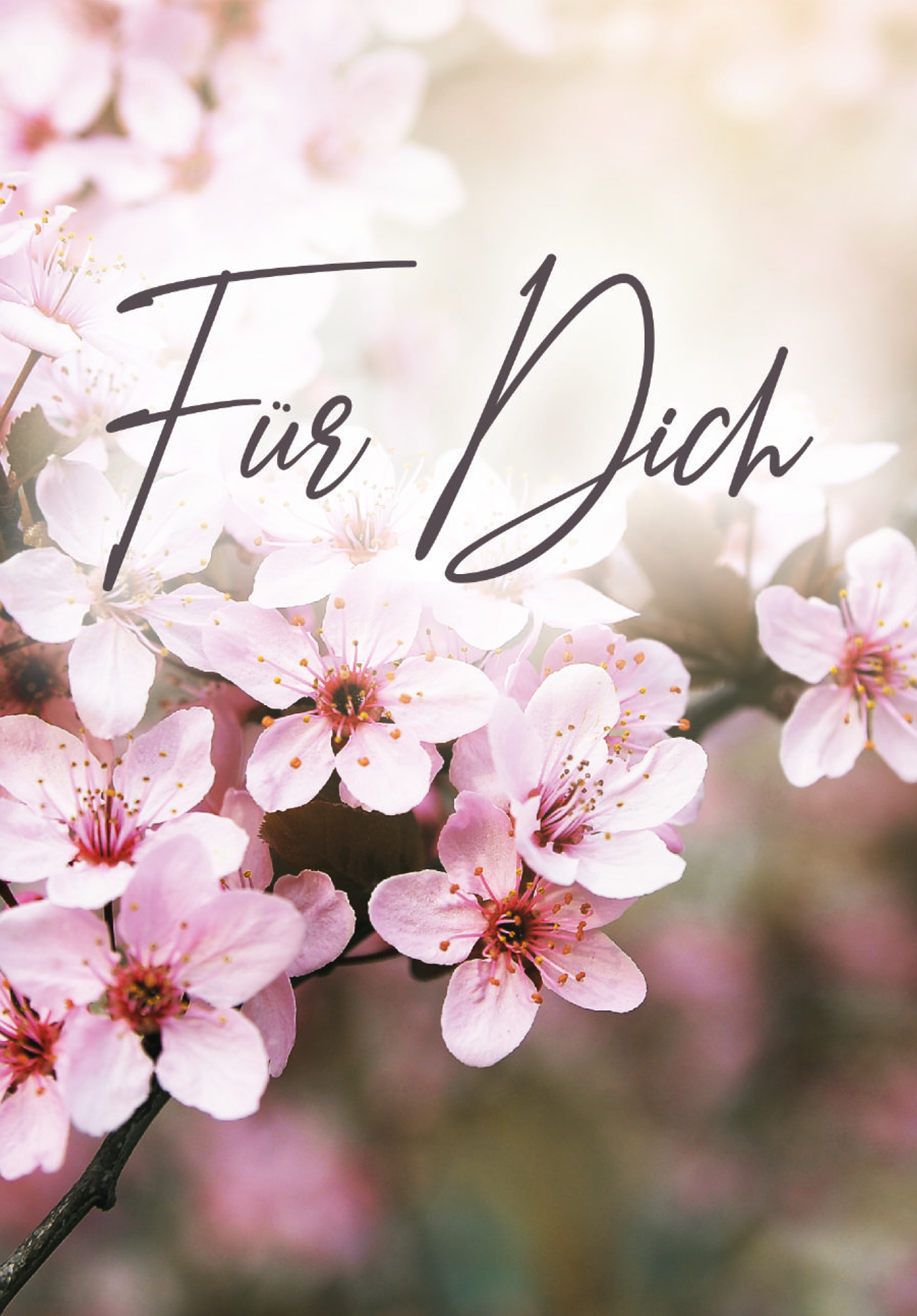 Wunschgutschein Für Dich - Kirschblüten – Geschenkgutschein Ansicht 2