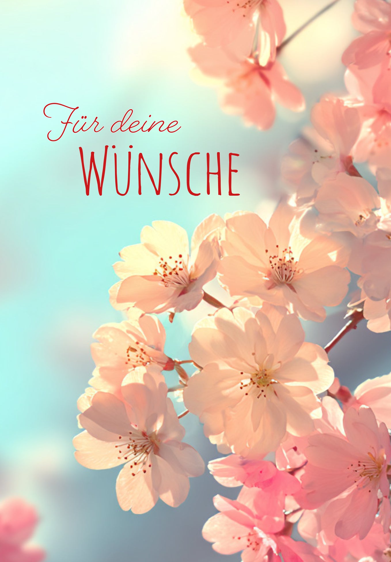 Wunschgutschein Für Deine Wünsche - Blüten Pink – Geschenkgutschein Ansicht 2