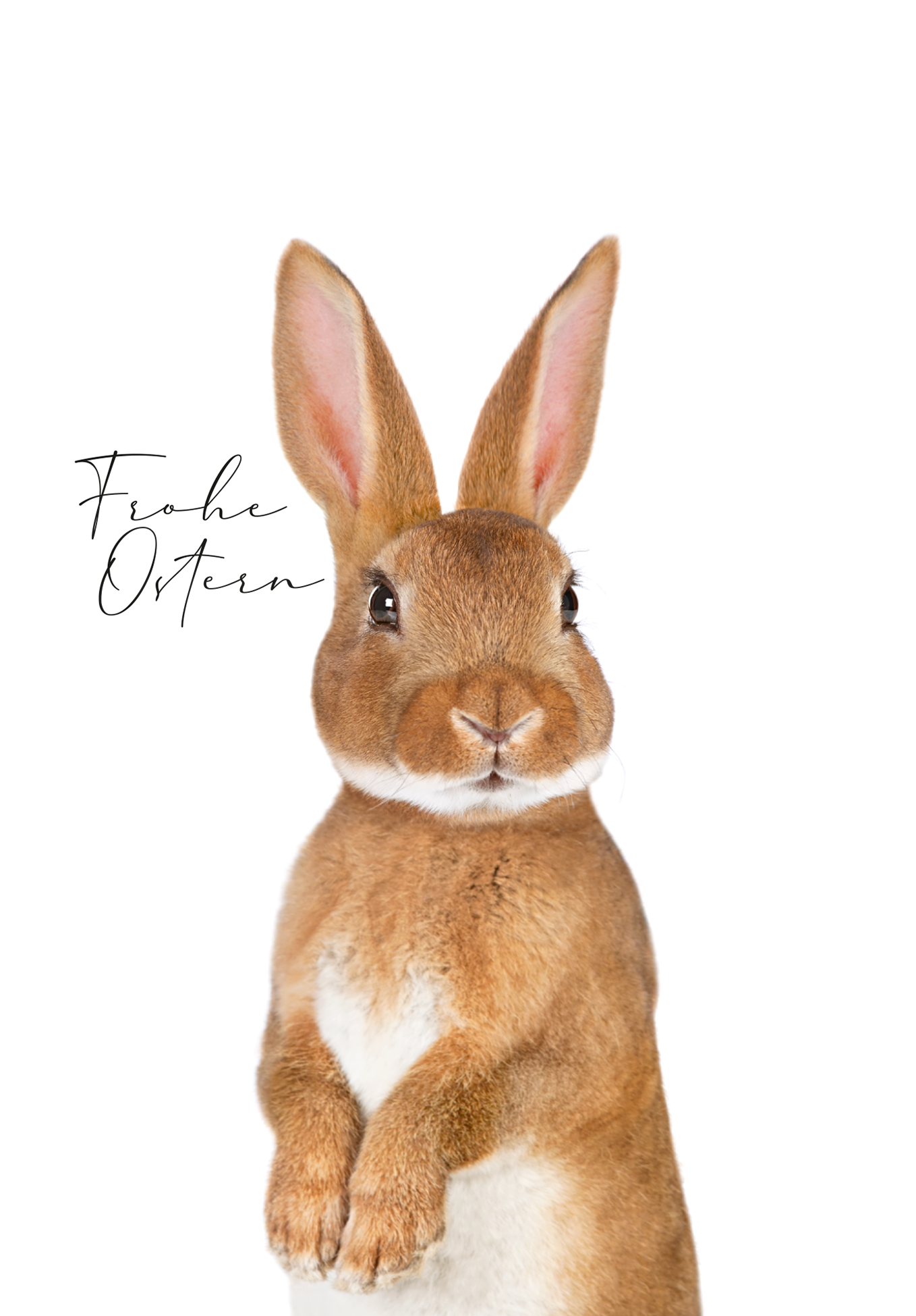 Wunschgutschein Frohe Ostern - Osterhase PDF – Geschenkgutschein Ansicht 2